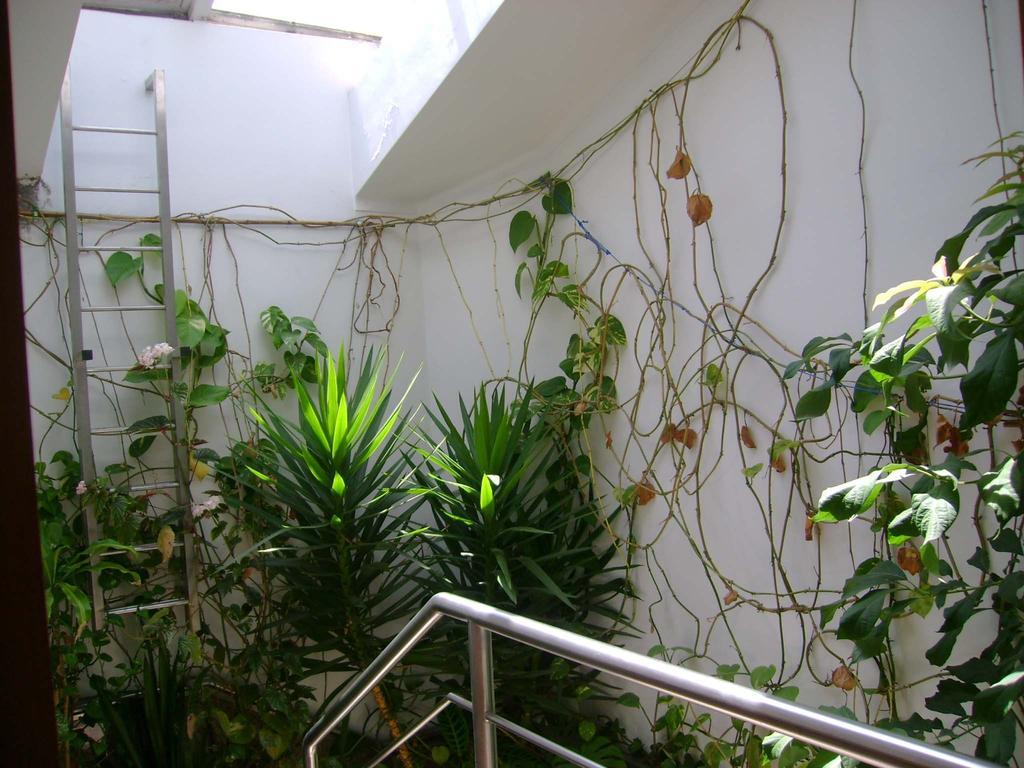 Hotel Residencial Moeda Coimbra Exterior foto